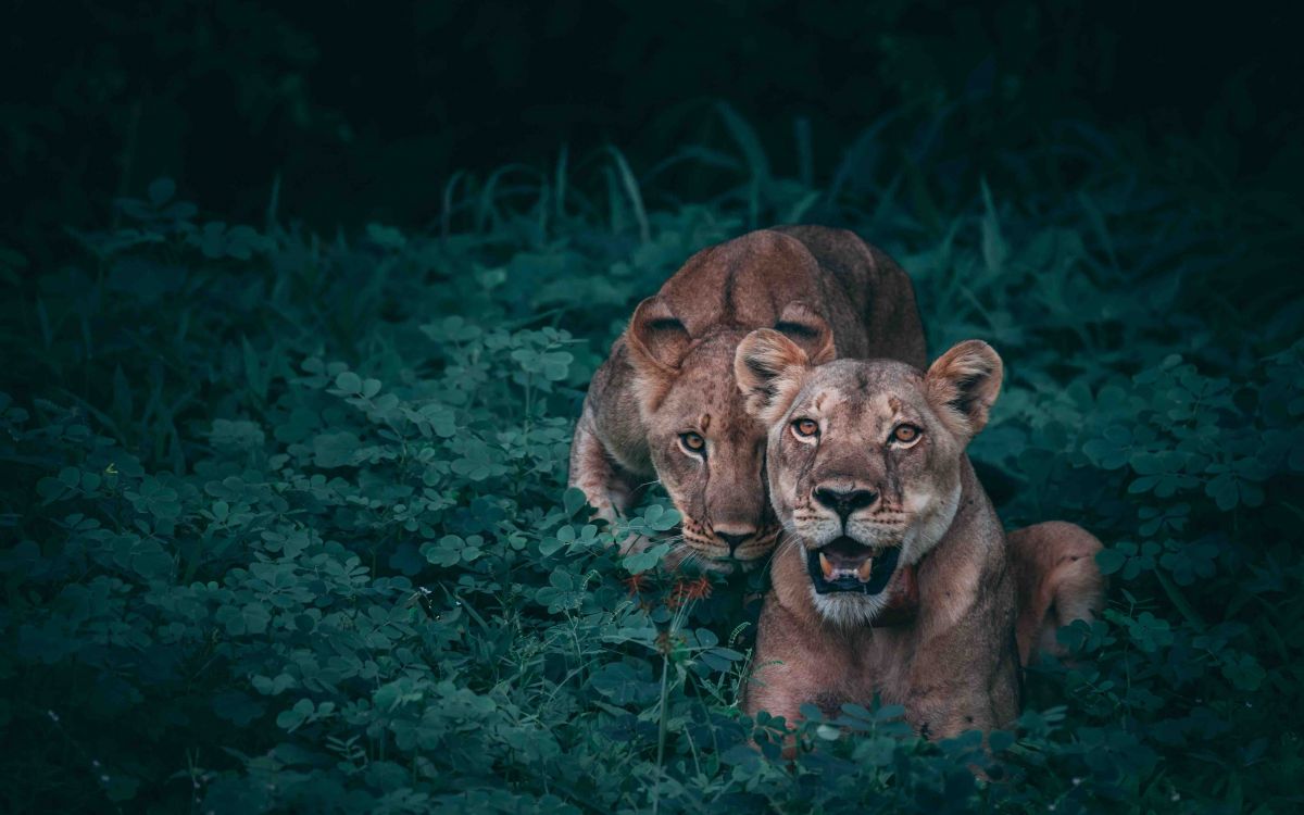 NAMIBIA & BOTSWANA NAMIBIA & BOTSWANA